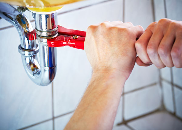 About Temperance Plumbers
